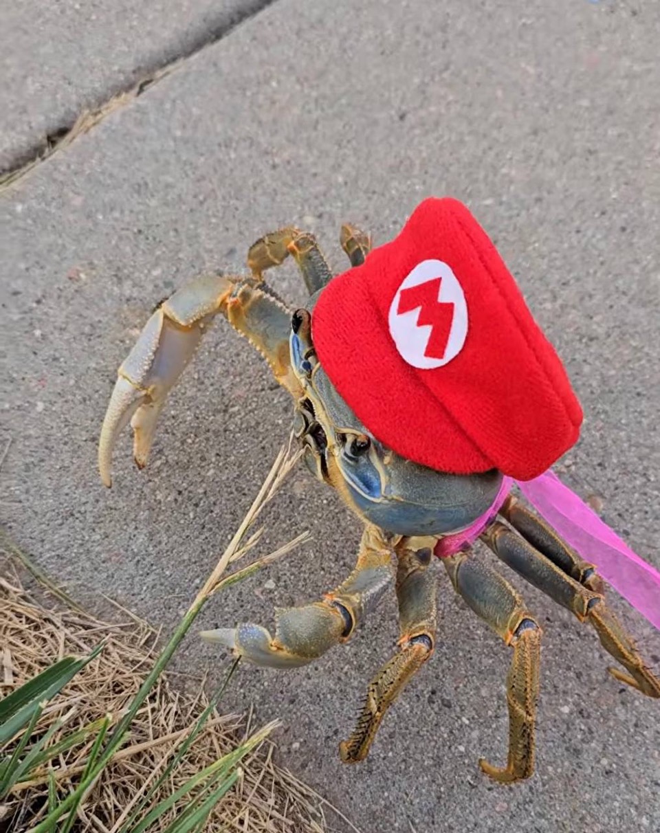 photo_2024-09-16 07.30.57.jpeg